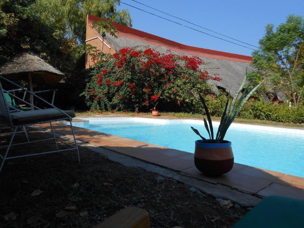 Cape Mac Lodge Cape Maclear Bagian luar foto