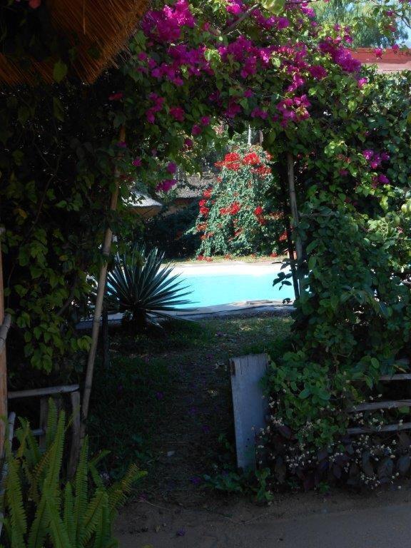 Cape Mac Lodge Cape Maclear Bagian luar foto